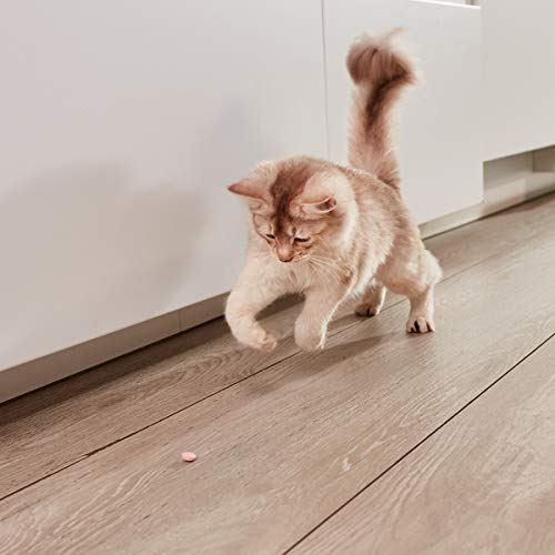 GimCat Pastillas para Gatos de Pescado y biotina, Delicioso Aperitivo para Gatos para un Pelo Brillante y una Piel Suave, 1 Bote de 210 g