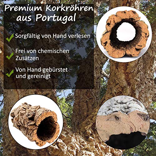 Gran tubo de corcho hecho de corteza de corcho puro, 20 cm de largo, 15 cm de alto, también ideal como decoración de terrario de corcho