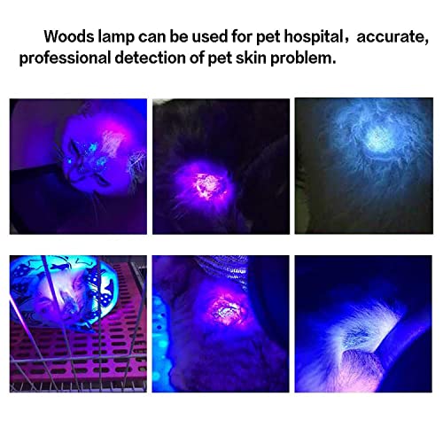 H-BEI Lámpara analizadora de Piel Woods, Detector portátil de leucoplasia Humana, luz Negra Ultravioleta para analizar la Piel, Pruebas no destructivas (NDT), Cuidado de Perros/Gatos