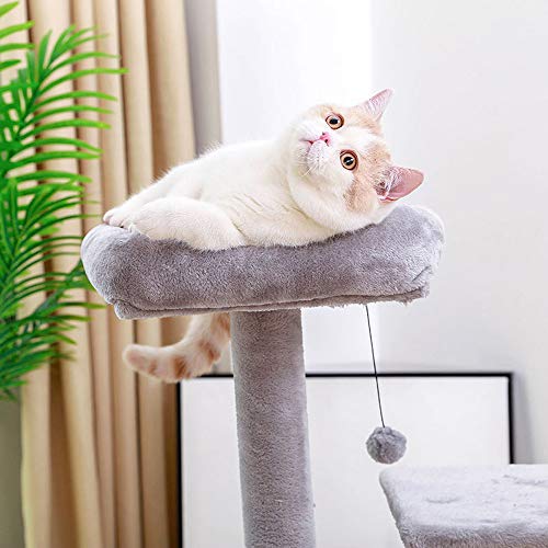 Hadishi Árbol De Gato, Escalada Gato Hamaca Marco Sala De Ocio Media Teja Banco De Gato Gatito Gato Adulto con El Árbol del Gato Hamaca Banco De Gato (Gris)