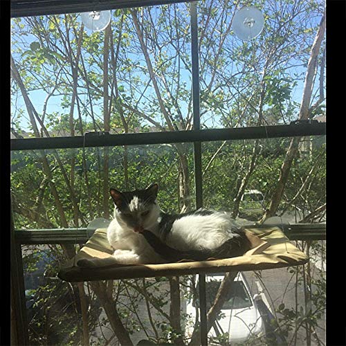 Hamaca mascota Colgando del gato Camas Ventana Pod Ocioso ventosas Hamaca Cama Teniendo 20kg gato for gato del animal doméstico Rest House Camas asiento cómodo estante ( Color : With original box )