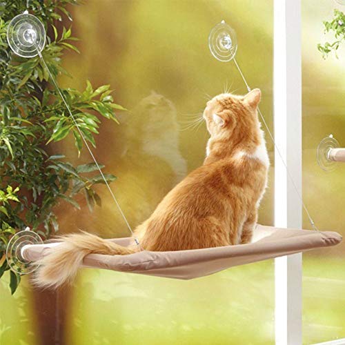 Hamaca mascota Colgando del gato Camas Ventana Pod Ocioso ventosas Hamaca Cama Teniendo 20kg gato for gato del animal doméstico Rest House Camas asiento cómodo estante ( Color : With original box )