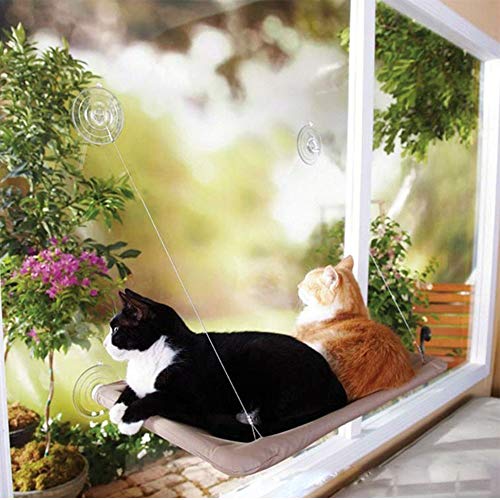 Hamaca mascota Colgando del gato Camas Ventana Pod Ocioso ventosas Hamaca Cama Teniendo 20kg gato for gato del animal doméstico Rest House Camas asiento cómodo estante ( Color : With original box )