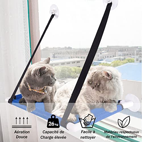 Hamaca Ventana de Gato, Cama Gato Colgante para Gato, Hamaca Ventosa para Gatos con Ventosas, para Descansar y Tomar el Sol, Regala Un Palo de Gato Gracioso, La Cama Mascotas (Azul)