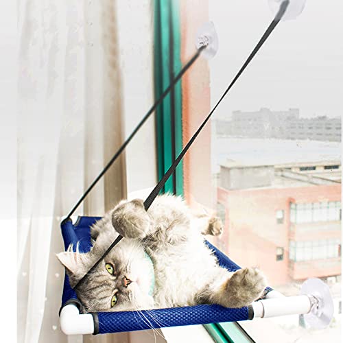 Hamaca Ventana de Gato, Cama Gato Colgante para Gato, Hamaca Ventosa para Gatos con Ventosas, para Descansar y Tomar el Sol, Regala Un Palo de Gato Gracioso, La Cama Mascotas (Azul)