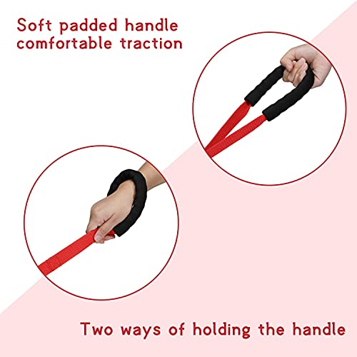 HAPPY HACHI Correa Perro Adiestramiento, 6m / 10m / 16m Larga Correas Nylon con Mango Suave Acolchado Antideslizante，Cuerda Perros para Camping Paseo, Rojo