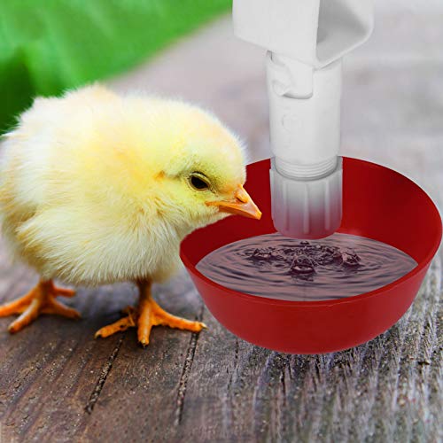 Happyyami 5 Pzas Automática de Pollo Hervidor de Aves Tazas de Riego Bebederos Comedero de Aves Dispensador de Tazones para Granja Bandada de Pato Codorniz Pavo de Gallina