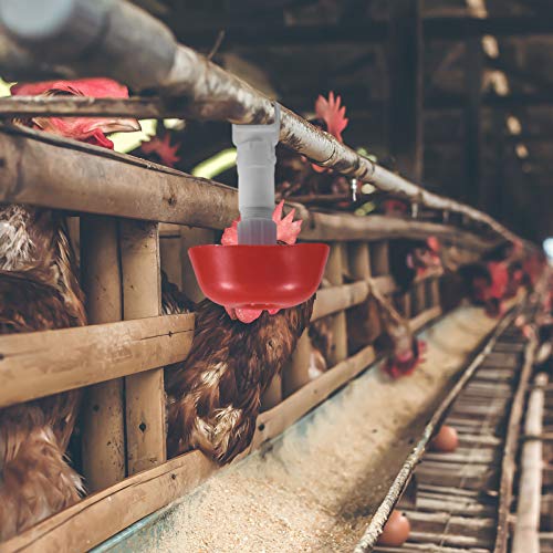 Happyyami 5 Pzas Automática de Pollo Hervidor de Aves Tazas de Riego Bebederos Comedero de Aves Dispensador de Tazones para Granja Bandada de Pato Codorniz Pavo de Gallina
