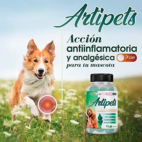 Healthy Fusion Condroitina para perros y gatos, Antiinflamatorio y Analgésico, Cúrcuma, Colágeno, Condroitina, Vitamina C y Magnesio, Articulaciones, músculos y cartílagos, Elimina dolor, 50 unidades
