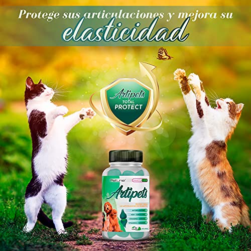 Healthy Fusion Condroitina para perros y gatos, Antiinflamatorio y Analgésico, Cúrcuma, Colágeno, Condroitina, Vitamina C y Magnesio, Articulaciones, músculos y cartílagos, Elimina dolor, 50 unidades