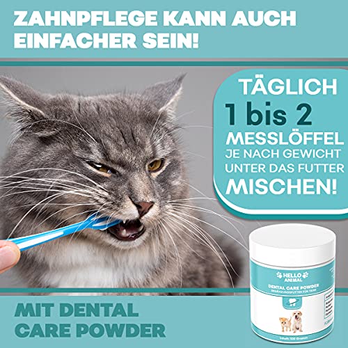 Hello Animal Dental Polvo para perros y gatos – Limpieza dental y cuidado dental – Eliminador de sarro también para espacios intermedios – Polvo dental contra el mal aliento