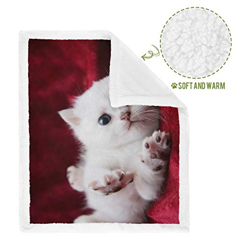 Hengpai Manta para mascotas, manta para gatos, manta para gatos, gatitos, angora turca