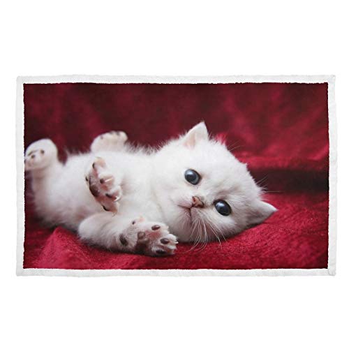 Hengpai Manta para mascotas, manta para gatos, manta para gatos, gatitos, angora turca