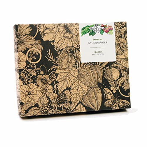 Hierbas para gatos - Semillas-Set de regalo con 3 variedades de plantas probadas que gustan a los gatos