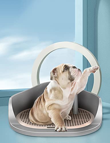 High Fence Pet Wit, Manijas Doble Spacial Bandeja Potty Splash, Potty de Perros de Interior extraíbles con atrayente Limpieza fácil (Color : Blue, tamaño : 20.9inchs)