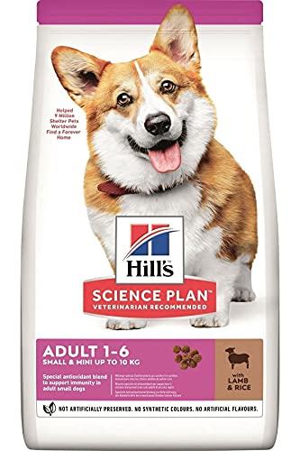 Hill's Canine Adult Small & Mini Lamm & Reis Comida para Perros - 1500 gr