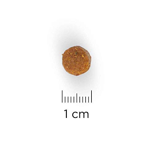 Hill's Canine Puppy Chicken Comida para Perros - 12000 gr