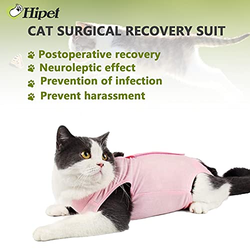 Hipet Traje de recuperación de cirugía de gato para heridas abdominales o enfermedades de la piel, cuello electrónico sustituto y cono