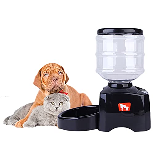 Hmpet Dispensador Automático Comida Gatos, comedero automático para Gatos de 5,5L con Temporizador, grabadora de Voz de 10 Segundos, con Control de porciones programable 1-3 Comidas por día