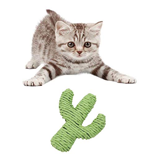 hongyupu Rascador De Gatos Rascador para Gatos Sofa Muebles Cero Guardias Gato rascador Gato Puestos Gato rascadores Cactus