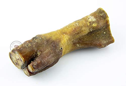 Hueso para Perros - Pack 10 Uds. - Pezuña de Cerdo Masticable para Perros - Sabor Único - Mordedor para Perros - Mantiene Las Encías Saludables - 100% Orgánico - Fabricado en España - GESPETFOOD