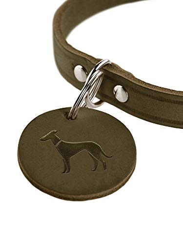HUNTER Aalborg - Collar de Piel para Perro (32 (XS), Color Verde Oliva
