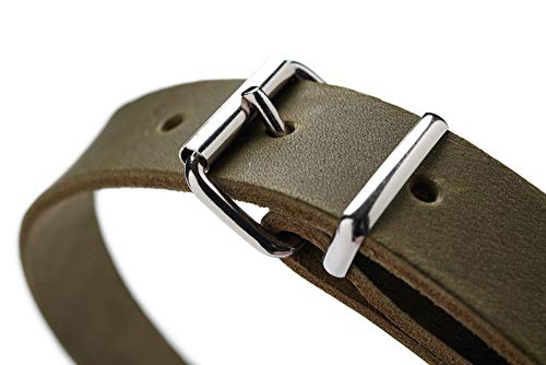 HUNTER Aalborg - Collar de Piel para Perro (32 (XS), Color Verde Oliva