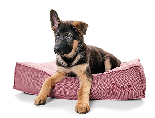 HUNTER Lancaster Cama para Perros