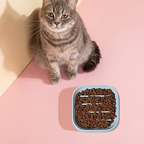 Hwtcjx comedero Lento Perro, comedero antivoracidad, 2 Piezas comedero Gato antivoracidad, Hecho de Material PP, Seguro, no tóxico, Anti-Asfixia, fácil de Limpiar, para Gatos, Perros (Azul, Rosa)