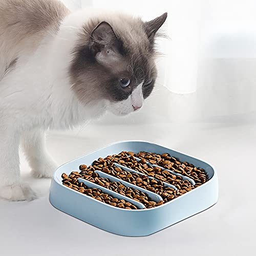 Hwtcjx comedero Lento Perro, comedero antivoracidad, 2 Piezas comedero Gato antivoracidad, Hecho de Material PP, Seguro, no tóxico, Anti-Asfixia, fácil de Limpiar, para Gatos, Perros (Azul, Rosa)