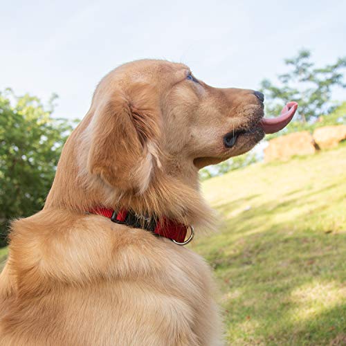 Hyhug Cuello de Trabajo Pesado clásico de Color sólido para Perros Grandes, medianos y pequeños, Ajuste de diseño único. (Pequeño S, Rojo)