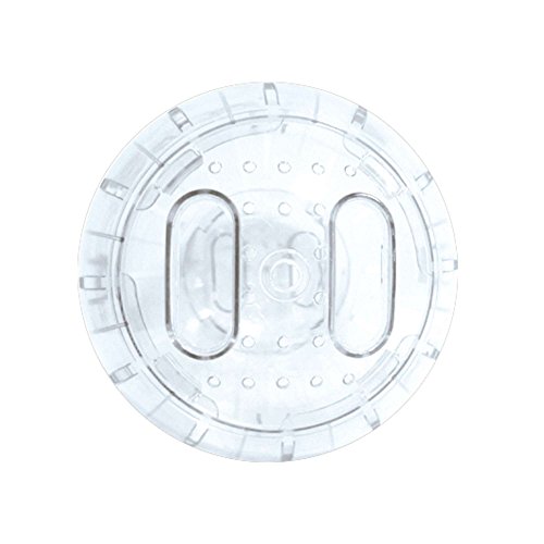 ICA GD10025 Bola de Ejercicios para Roedores, 25 cm