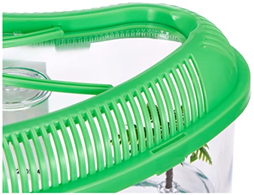 ICA TT-320 Tortuguera con Tapa Dophin