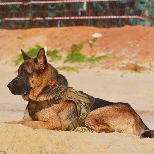 ICEFANG Arnés Modular para Perro, Militar K9 Chaleco Molle táctico para Perro, sin Tirar de Clip Frontal, Gancho y Panel de Bucle para Parche de Perro, CB-2x Hebilla de Metal (XL) marrón Coyote