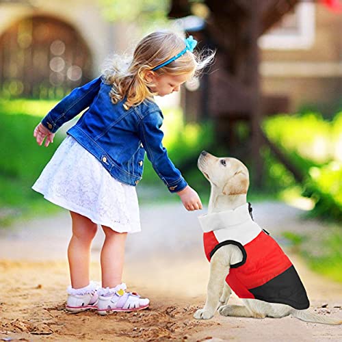 Idepet Mascota Perro Gato Escudo con Correa Ancla Color Patchwork Acolchado Cachorro Chaleco Teddy Chaqueta Chihuahua Disfraces Pug Ropa XS S M L
