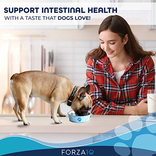 INTESTINAL Active 10 KG