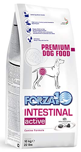 INTESTINAL Active 10 KG