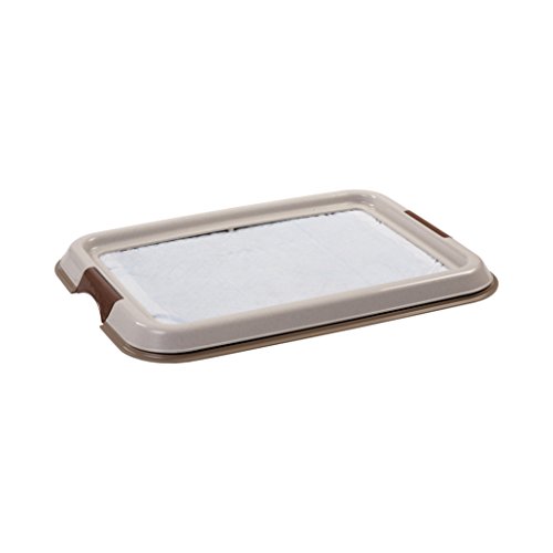 Iris Ohyama, Entrenamiento del Perro/Bandeja de la educación a la Limpieza - Pet Tray - FT-495, plástico, Beige, 49 x 36,5 x 3,2 cm