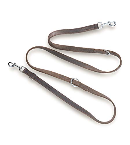 Jack & Russell Premium Grasa de Cuero para Perros Travis 2,0m - Correa de Cuero Ajustable múltiples - Travis (Marrón Oscuro)