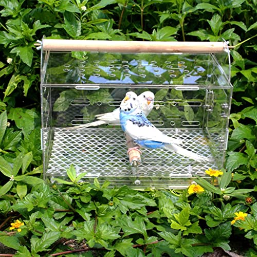 Jaula for Pájaros De Viaje Jaula De Transporte for Loros Jaula for Pájaros De Salida Ultraligera Estuche for Transporte De Sol Dorado Jaula Transparente for Pájaros