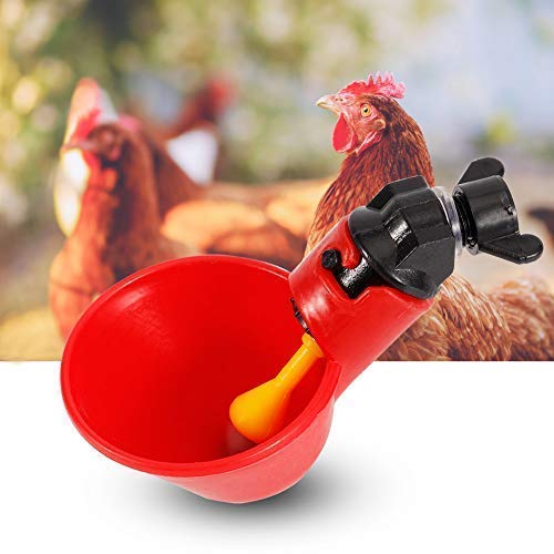 Jeffergarden - Lote de 5 Piezas de Bebedero de gallinas, Acero Inoxidable automático en Agua, Lado Horizontal, maelones, Pollo, Conejo, Bebedero y Bebedero para Agua Potable