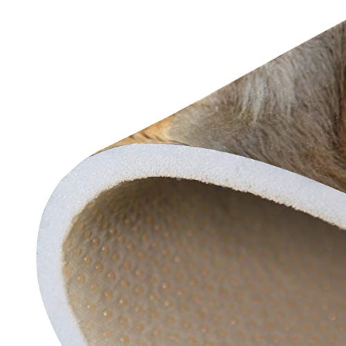 Josid - Felpudos de entrada para mascotas con diseño de gato, para interiores y exteriores, para puertas delanteras o baños, antideslizantes, 23.6 x 15.7 cm