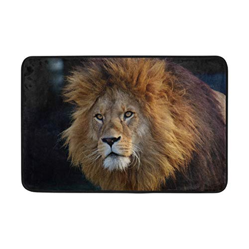 Josid - Felpudos de entrada para mascotas con diseño de gato, para interiores y exteriores, para puertas delanteras o baños, antideslizantes, 23.6 x 15.7 cm