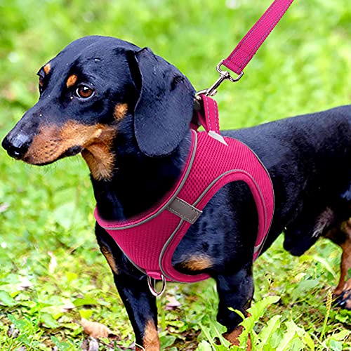Joytale Arnes Perro, Reflectante Cómodo Transpirable Arnés, Perros Arneses Chaleco para Gato y Cachorros Perro, Rosa Caliente, M