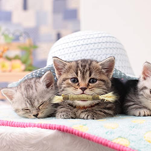 Juguete de hierba gatera - Juguetes para masticar la dentición de gato, juego de combinación de palitos de masticar para gatos para calmar la ansiedad y el estrés del gato, 6 piezas de juguete Pigmana