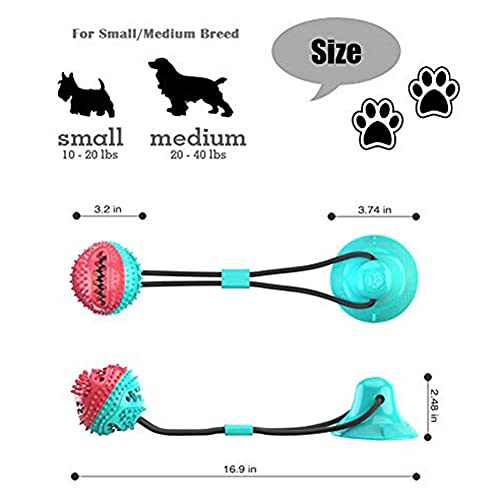 Juguete Molar Multifuncional para Mascotas, Juguete de Cuerda para Perros con Ventosas Pelota Limpiar los Dientes Juguetes Educativos Interactivos Adecuados para Perros Pequeños y Medianos