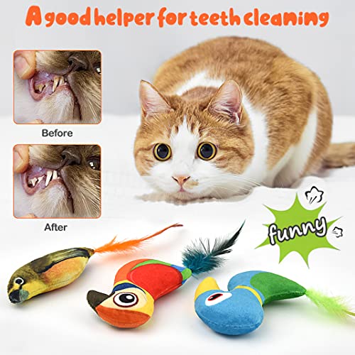 Juguete para gatito Gato Plumas Gato Teaser Pet Bird Juguete Interactivo Gato Juguetes de peluche