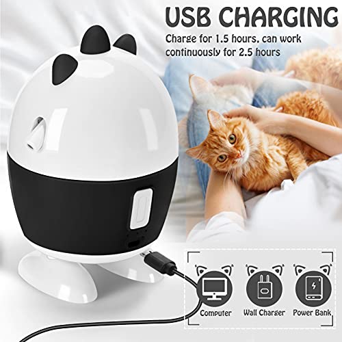 Juguetes para Gatos interactivos, Juguetes LED para Gatos y Juguetes de Plumas de Gato, 2 en 1, Juguetes de Ejercicio para Gatos de Interior (Negro)