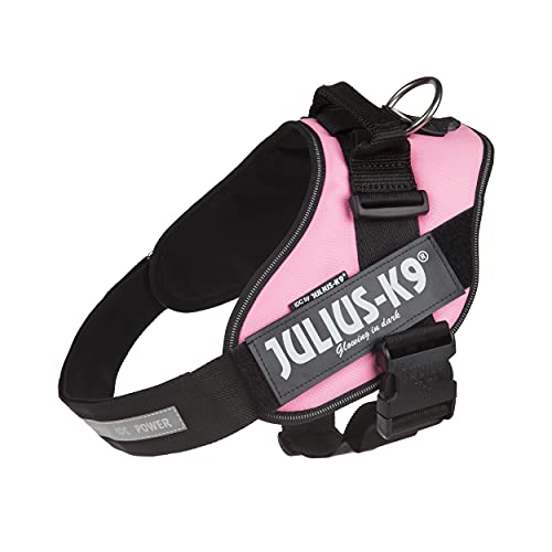 JULIUS-K9 16IDC Power Harness