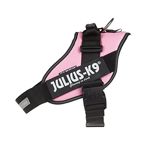 JULIUS-K9 16IDC Power Harness